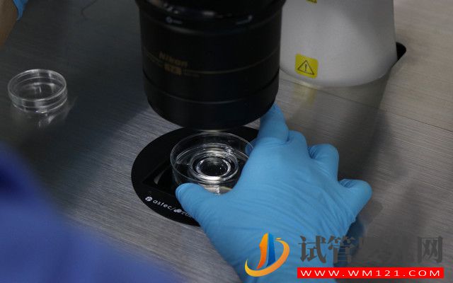 泰國試管嬰兒中介排名(圖1)