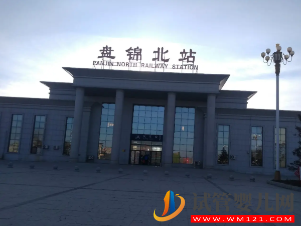 盤錦供卵機構排名，當地熱門試管嬰兒醫院大全(圖1)