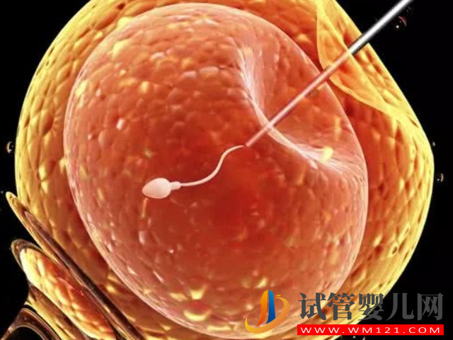 去大連的三甲醫院做試管嬰兒需要多少錢？(圖1)