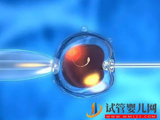 去大連的三甲醫院做試管嬰兒需要多少錢？(圖3)