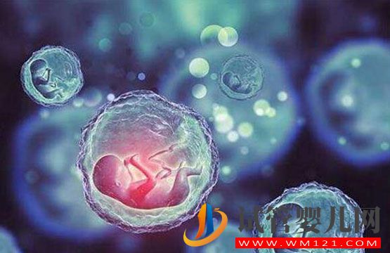 孕早期寶媽分享泰國試管嬰兒全程詳細流程(圖1)