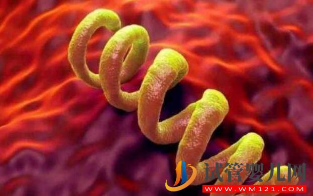 試管嬰兒前期檢查項(xiàng)目報(bào)告你看的懂嗎?看完就會(huì)了(圖4) 試管嬰兒前期檢查項(xiàng)目報(bào)告你看的懂嗎?看完就會(huì)了(圖4)