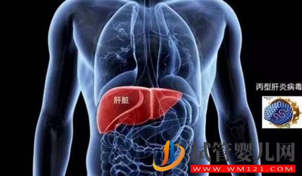 試管嬰兒前期檢查項(xiàng)目報(bào)告你看的懂嗎?看完就會(huì)了(圖6) 試管嬰兒前期檢查項(xiàng)目報(bào)告你看的懂嗎?看完就會(huì)了(圖6)