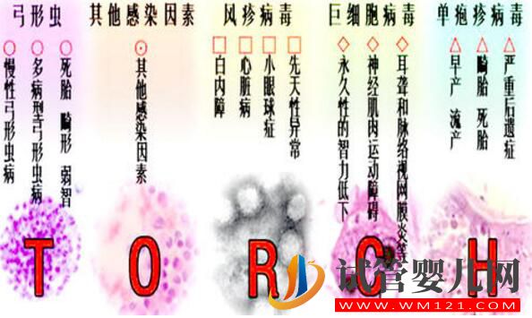 試管嬰兒前期檢查項(xiàng)目報(bào)告你看的懂嗎?看完就會(huì)了(圖7) 試管嬰兒前期檢查項(xiàng)目報(bào)告你看的懂嗎?看完就會(huì)了(圖7)