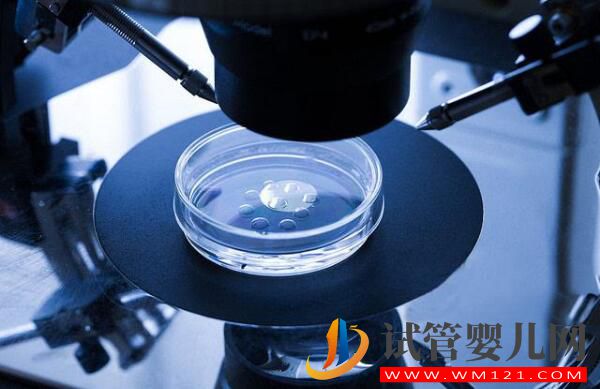 試管嬰兒養囊胚是什么樣的？什么樣的囊胚質量好？(圖1)