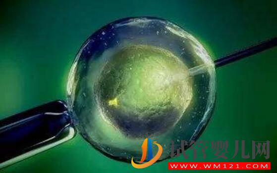 試管嬰兒養囊胚是什么樣的？什么樣的囊胚質量好？(圖4)