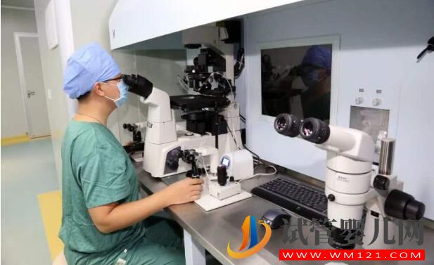 試管嬰兒養囊胚是什么樣的？什么樣的囊胚質量好？(圖5)