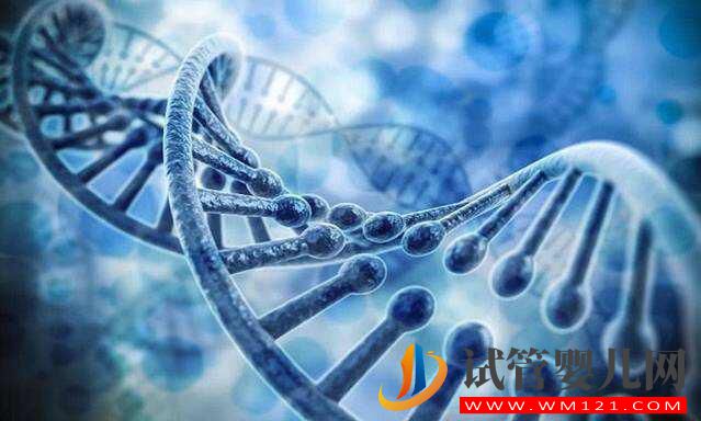 有遺傳性疾病可以通過(guò)三代試管技術(shù)生育孩子嗎(圖2) 有遺傳性疾病可以通過(guò)三代試管技術(shù)生育孩子嗎(圖2)