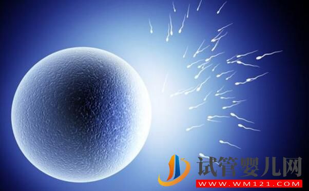 無精癥可以做試管嬰兒嗎？對無精癥的誤解有哪些(圖1)