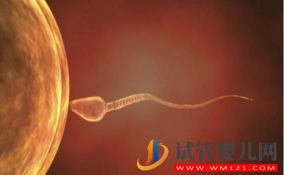 無精癥可以做試管嬰兒嗎？對無精癥的誤解有哪些(圖2)