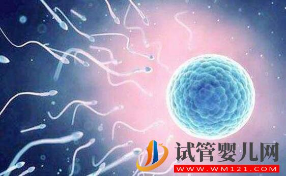無精癥可以做試管嬰兒嗎？對無精癥的誤解有哪些(圖3)