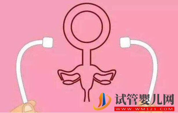 高齡女性卵巢功能低，試管手術可以做嗎(圖3)
