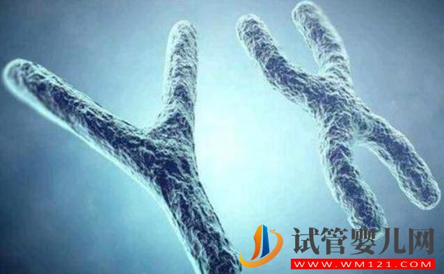 試管嬰兒前染色體檢查有必要做(圖3)