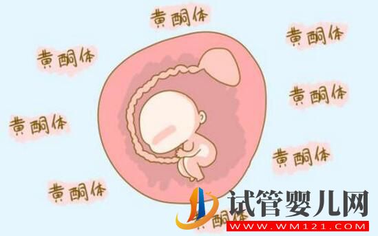 孕酮低就代表著需要保胎嗎？孕酮、HCG與保胎的關(guān)系你了解嗎？(圖2)