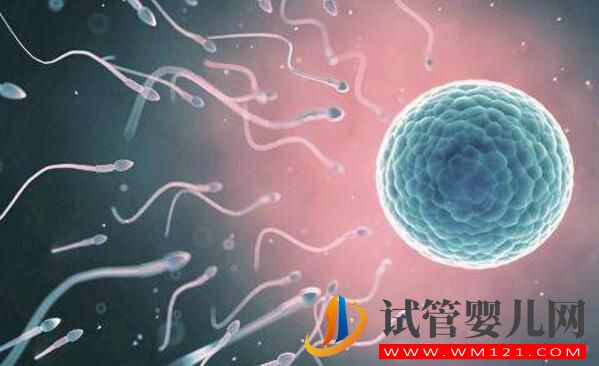 銅仁女人結扎了可以做試管嬰兒嗎？來看看吧(圖3)