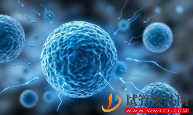 試管嬰兒（IVF）沒做好 可能會(huì)帶來哪些風(fēng)險(xiǎn)(圖4)