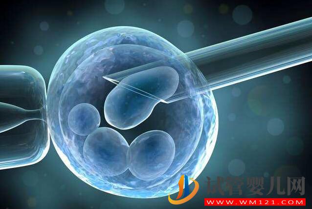 做試管嬰兒后突然自然懷孕是為什么(圖1)