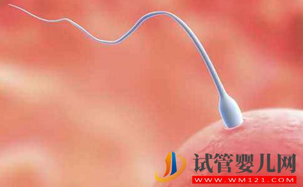 做試管嬰兒后突然自然懷孕是為什么(圖2)