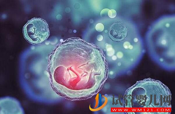 做試管嬰兒的成功幾率有多大？成功的原因有哪些(圖1)