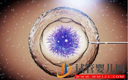 試管嬰兒成功率詳細介紹，高卵子利用率提高成功率(圖2)