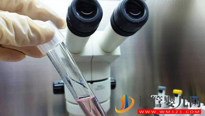 泰國試管嬰兒和國內(nèi)試管流程成功率有什么不同(圖3)