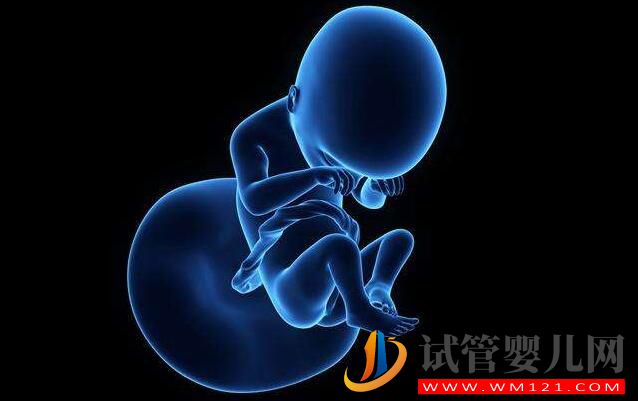 泰國試管嬰兒和國內(nèi)試管流程成功率有什么不同(圖4)