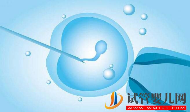 來(lái)看看試管嬰兒是怎么做的 了解試管嬰兒全過(guò)程(圖3)