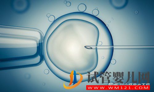 一代試管和二代試管的區(qū)別_畸形率高影響試管成功率(圖5) 一代試管和二代試管的區(qū)別_畸形率高影響試管成功率(圖5)