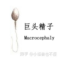 一代試管和二代試管的區(qū)別_畸形率高影響試管成功率(圖8) 一代試管和二代試管的區(qū)別_畸形率高影響試管成功率(圖8)