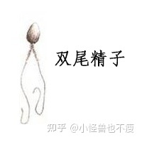 一代試管和二代試管的區(qū)別_畸形率高影響試管成功率(圖11) 一代試管和二代試管的區(qū)別_畸形率高影響試管成功率(圖11)