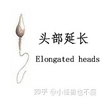 一代試管和二代試管的區(qū)別_畸形率高影響試管成功率(圖13) 一代試管和二代試管的區(qū)別_畸形率高影響試管成功率(圖13)