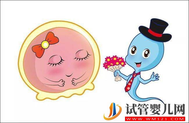 三代試管促排吃啥可以提高卵泡質量(圖2)