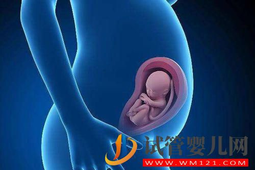 做試管嬰兒后飲食有什么要求(圖1) 做試管嬰兒后飲食有什么要求(圖1)