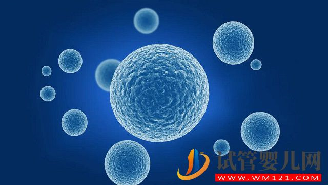 地中海貧血三代試管嬰兒成功率高嗎 地中海貧血三代試管嬰兒成功率高嗎(圖1)