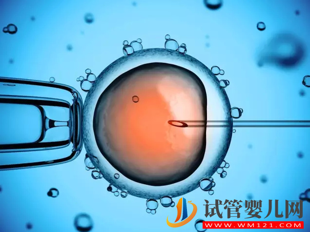 試管嬰兒如何建檔產(chǎn)檢,什么時(shí)候建檔產(chǎn)檢 試管嬰兒如何建檔產(chǎn)檢,什么時(shí)候建檔產(chǎn)檢(圖1)