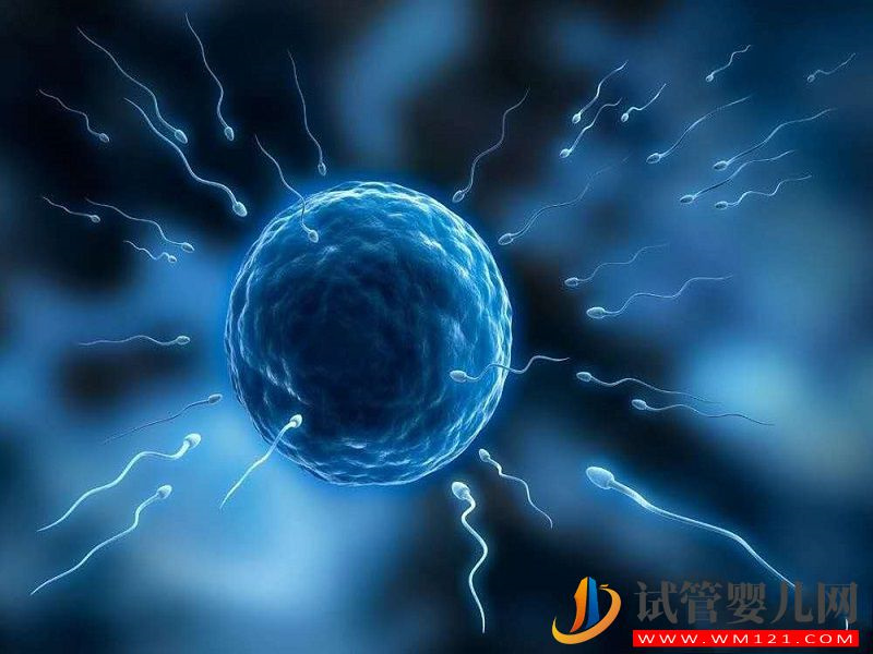 輸卵管切除的滎陽備孕女性看過來，這些醫院可助你一臂之力(圖2)