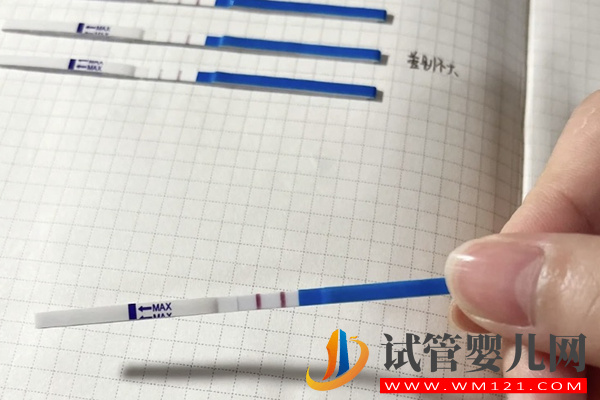 一文便知明顯兩條杠其實沒懷孕的五大原因(圖3)