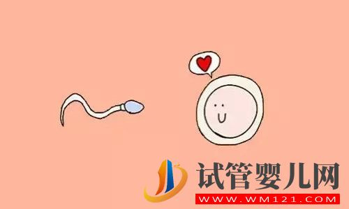 哪些情況下不適合受孕?(圖1)