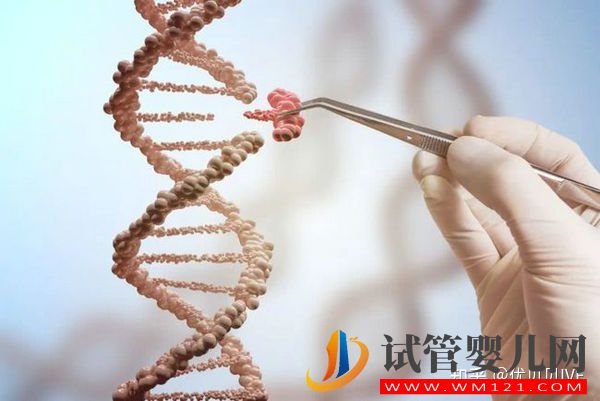 國(guó)內(nèi)排名靠前的三代試管醫(yī)院都有哪些_第一梯隊(duì)了解下(圖2) 國(guó)內(nèi)排名靠前的三代試管醫(yī)院都有哪些_第一梯隊(duì)了解下(圖2)