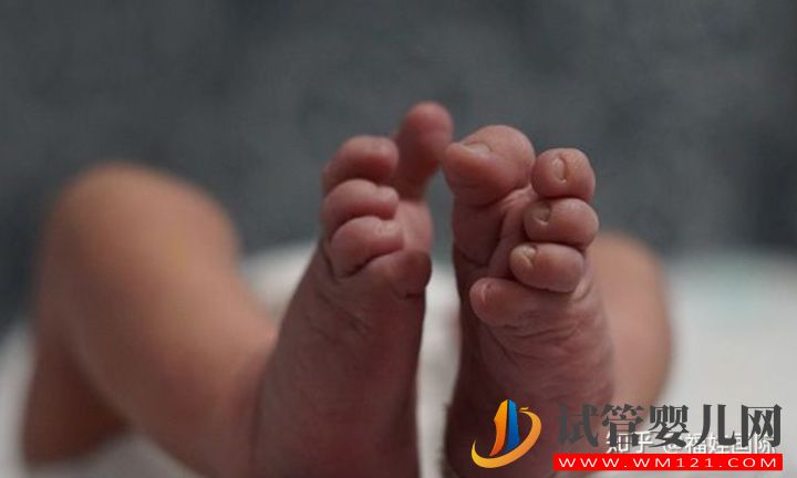 自然周期什么時候取卵_最佳時間分析(圖3) 自然周期什么時候取卵_最佳時間分析(圖3)