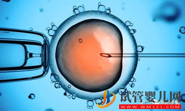 一篇文章看懂輔助生殖(圖1)