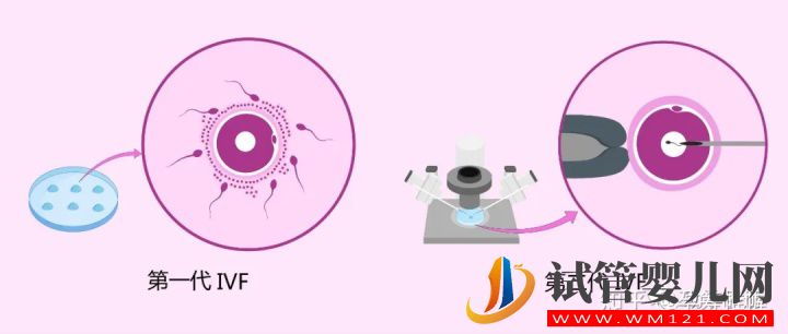 一篇文章看懂輔助生殖(圖6)