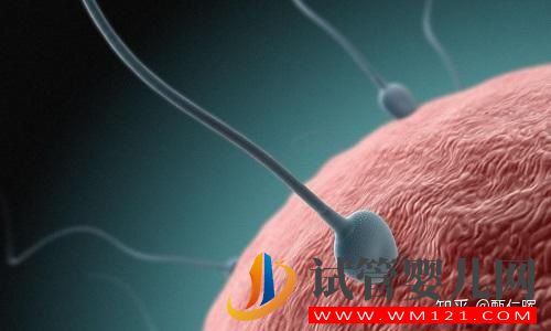 無精癥怎么造成的(圖2)