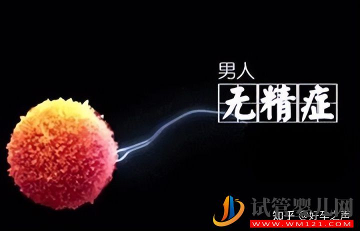 無精子癥的生育之路(圖1)