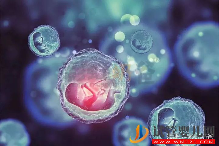 養(yǎng)囊有什么好處_哪些情況推薦養(yǎng)囊(圖2)