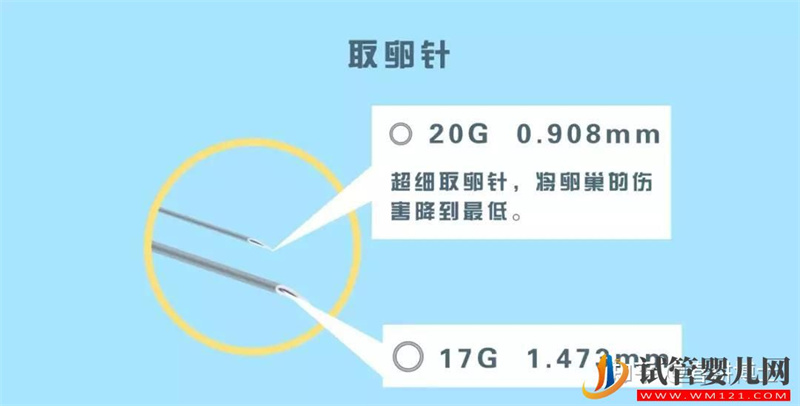 要不要養囊胚,如何提高養囊成功率(圖10)