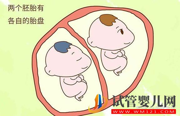 龍鳳胎是怎么形成的_龍鳳胎形成過程(圖1)