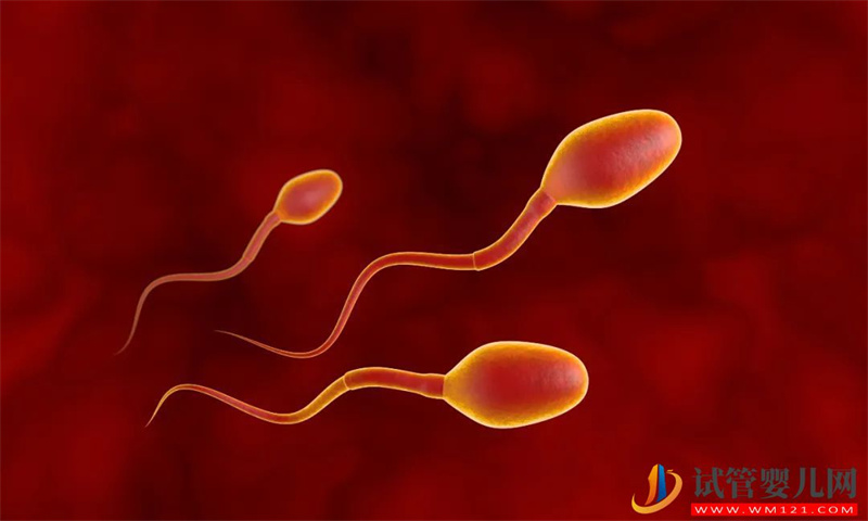 男人“無精”也能有后嗎？有沒有辦法“無”中生有？(圖1)