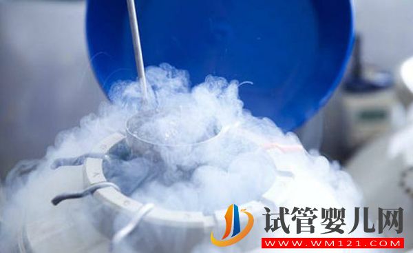 日本凍卵和美國(guó)凍卵不能一概而論，費(fèi)用只是區(qū)別之一(圖3)