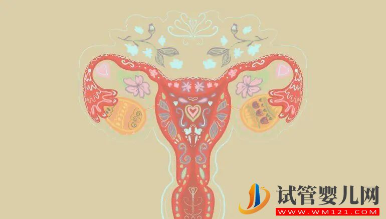 了解可能增加流產(chǎn)風(fēng)險(xiǎn)的 5 個(gè)原因(圖3)